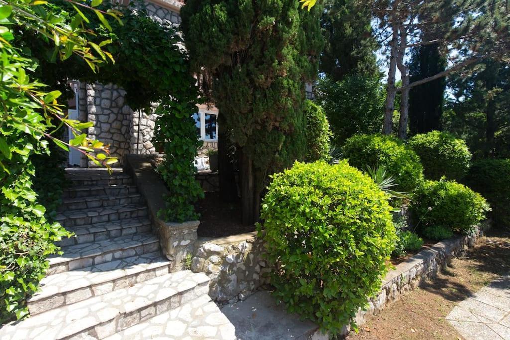 Villa Stefi Novi Vinodolski Exterior foto